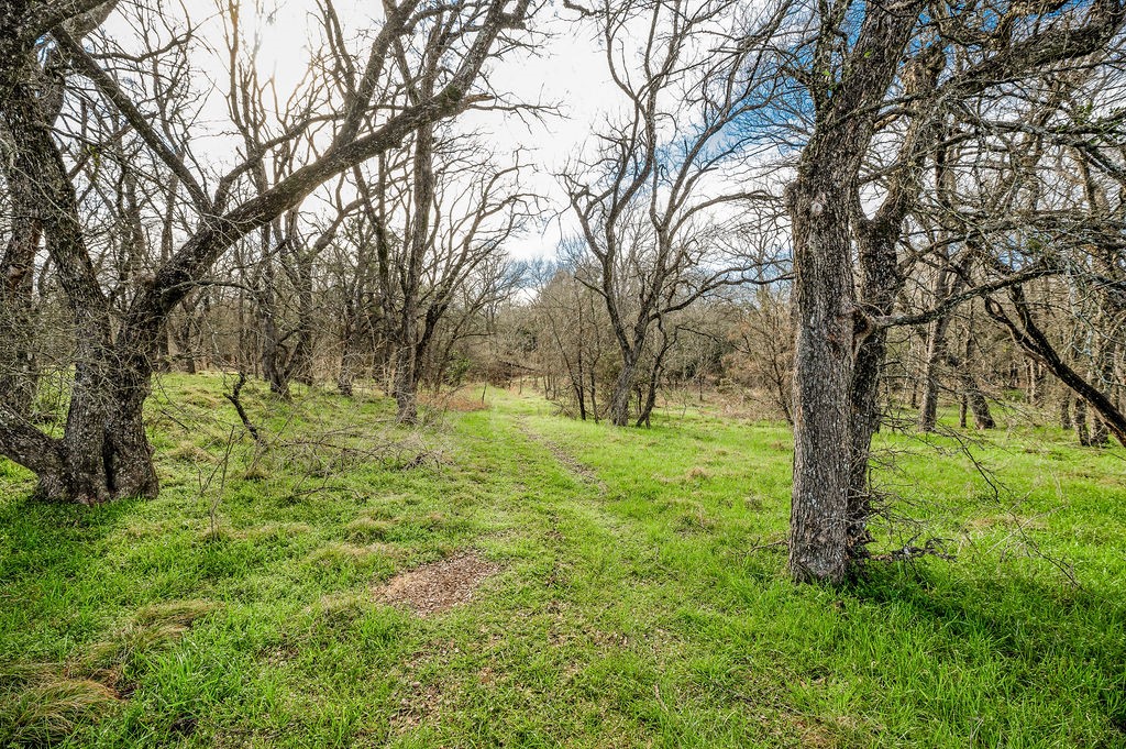TBD CR 3635 Road , Clifton, TX, 76634 | 199610 | Realty Texas LLC