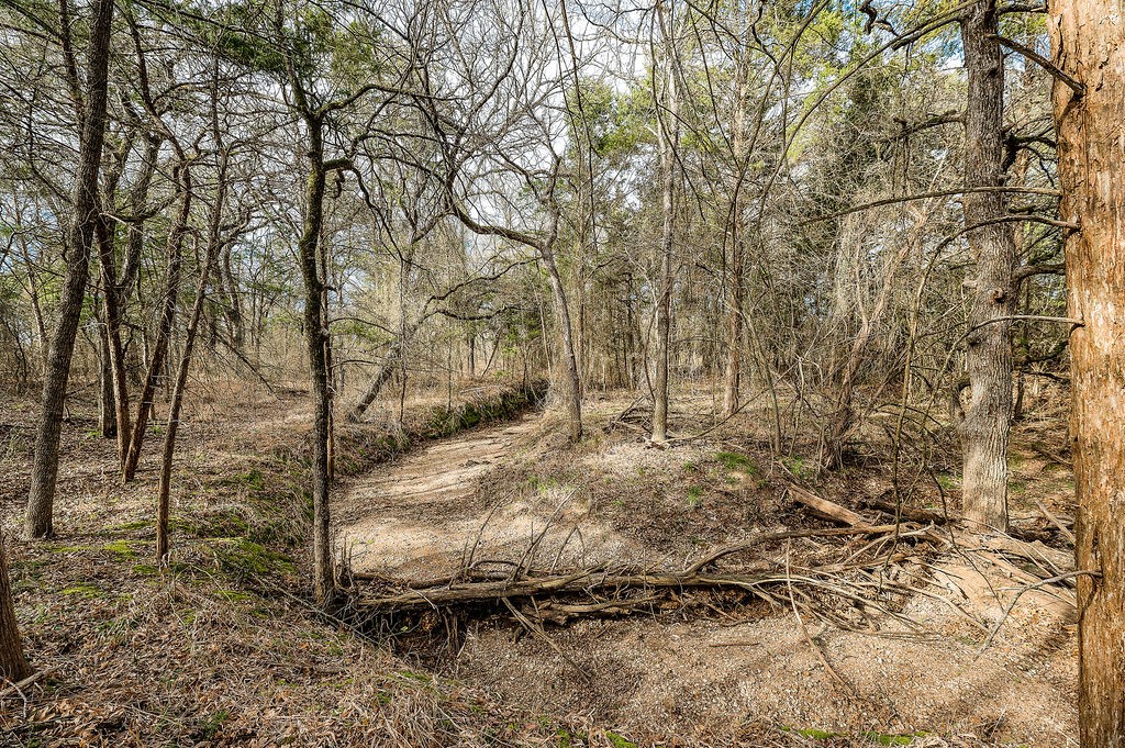 TBD CR 3635 Road , Clifton, TX, 76634 | 199610 | Realty Texas LLC