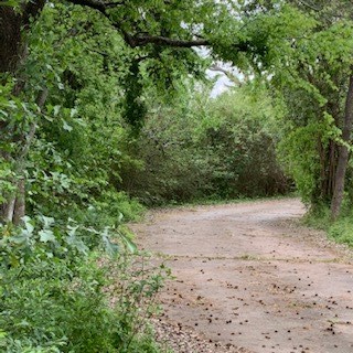 1812 N Sam Houston Parkway Parkway W , Houston, TX, 77038 | 49573680 | Realty Texas LLC