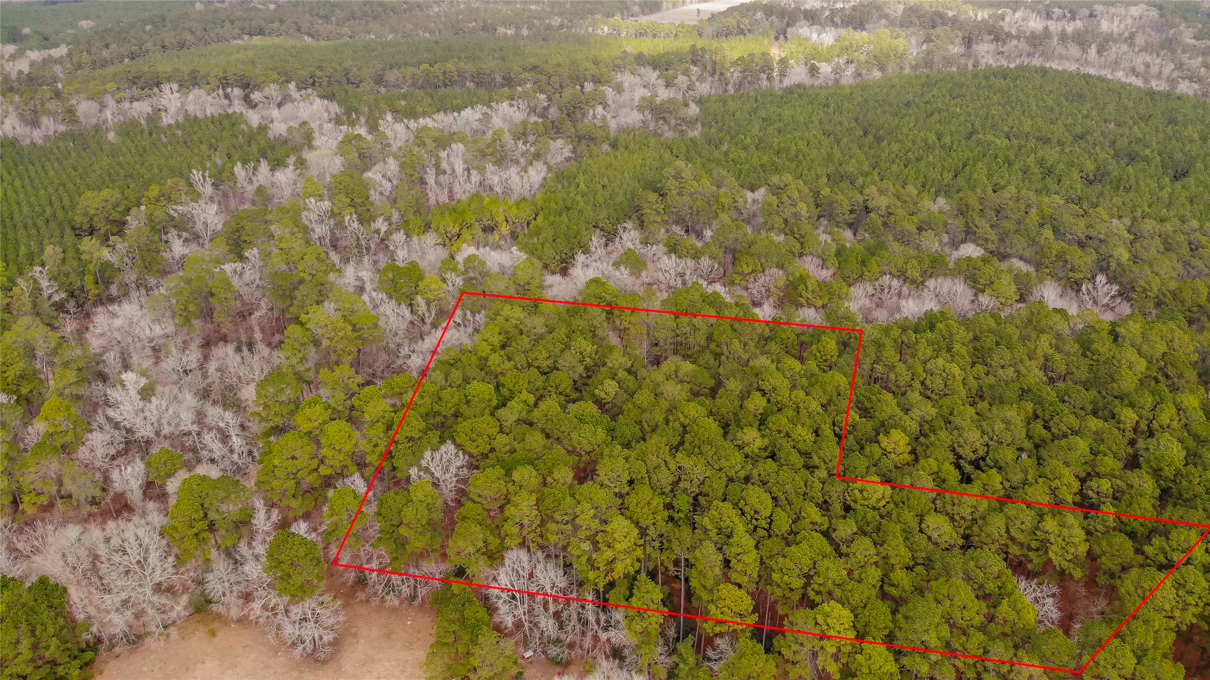 TBD Off Fm 946 N , Oakhurst, TX, 77359 | 96384824 | Realty Texas LLC