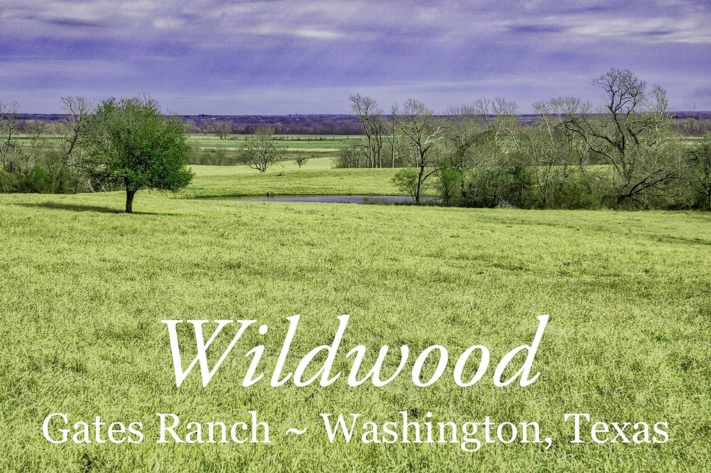 TBD 00000 FM 2726 Road , Washington, TX, 77880 | 47495114 | Realty Texas LLC