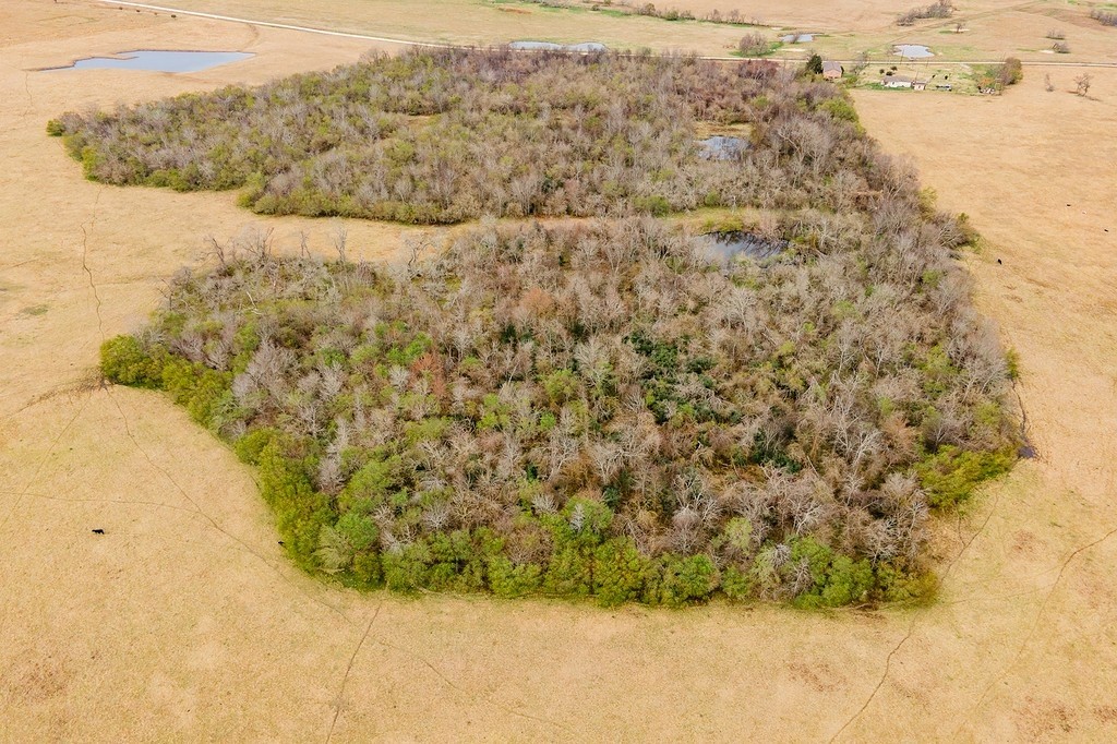 TBD 00000 FM 2726 Road , Washington, TX, 77880 | 47495114 | Realty Texas LLC
