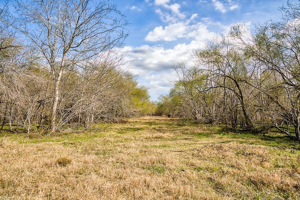 TBD 00000 FM 2726 Road , Washington, TX, 77880 | 47495114 | Realty Texas LLC