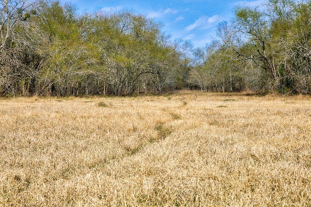 TBD 00000 FM 2726 Road , Washington, TX, 77880 | 47495114 | Realty Texas LLC