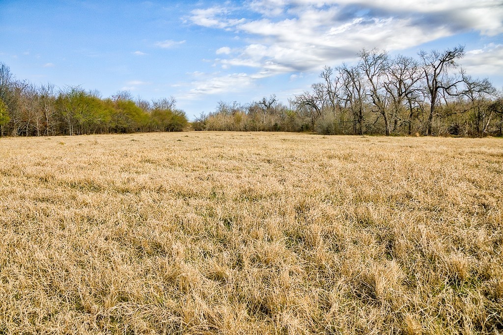 TBD 00000 FM 2726 Road , Washington, TX, 77880 | 47495114 | Realty Texas LLC