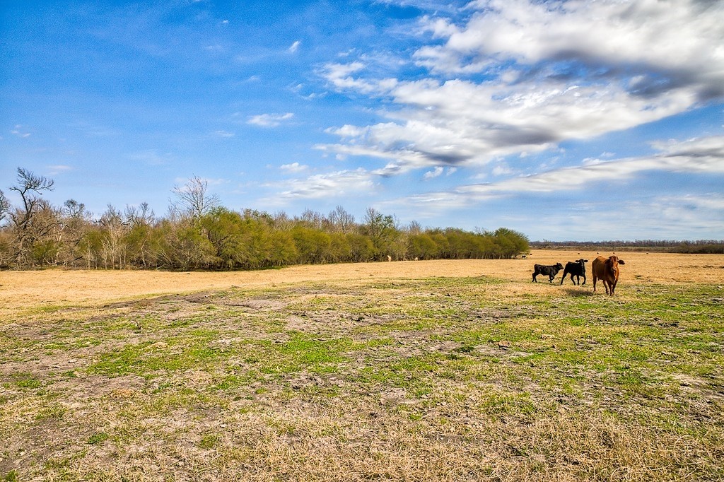 TBD 00000 FM 2726 Road , Washington, TX, 77880 | 47495114 | Realty Texas LLC