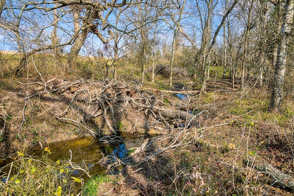 TBD 00000 FM 2726 Road , Washington, TX, 77880 | 47495114 | Realty Texas LLC