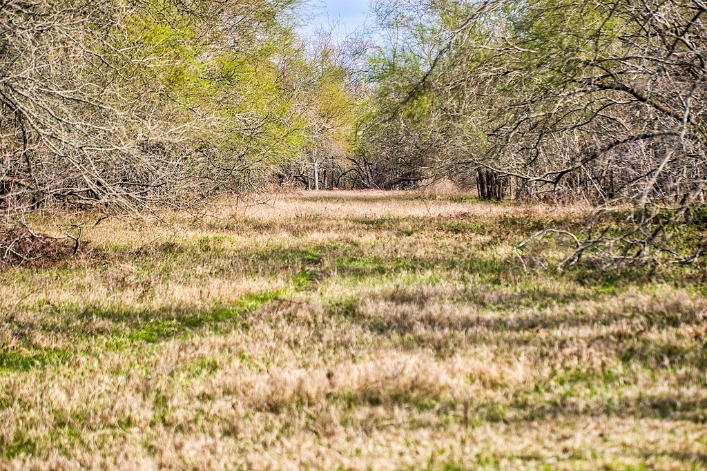 TBD 00000 FM 2726 Road , Washington, TX, 77880 | 47495114 | Realty Texas LLC