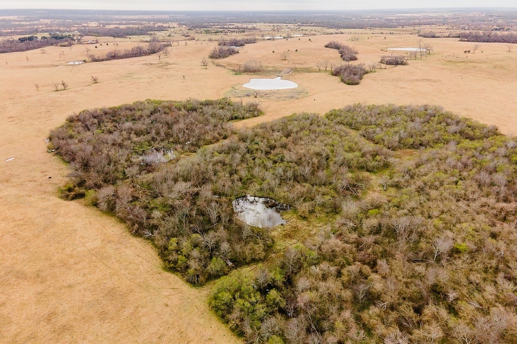 TBD 00000 FM 2726 Road , Washington, TX, 77880 | 47495114 | Realty Texas LLC