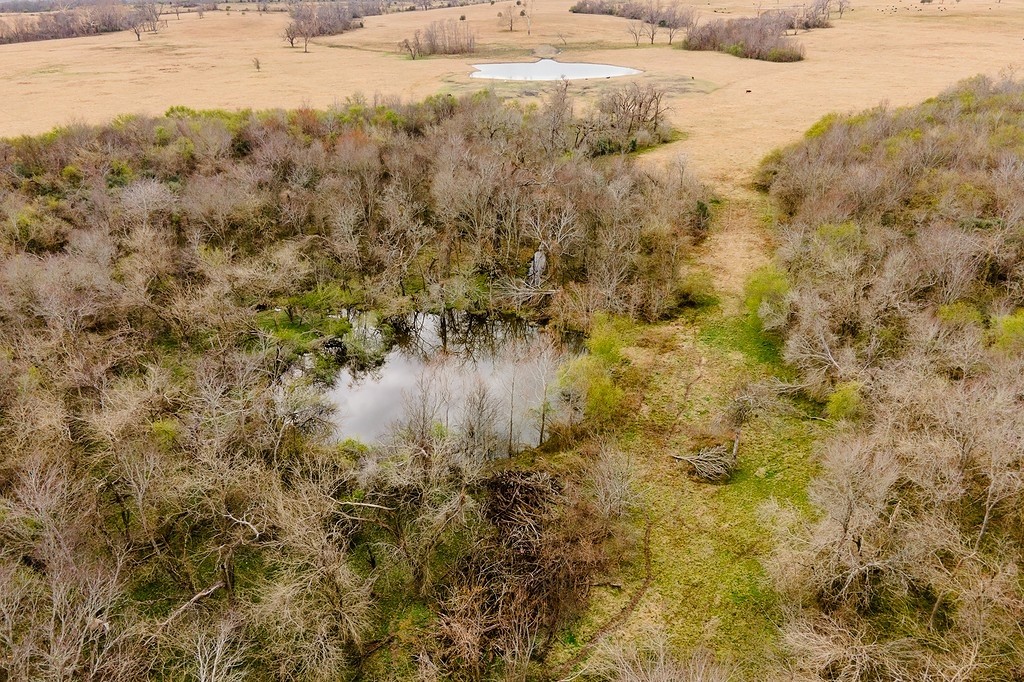 TBD 00000 FM 2726 Road , Washington, TX, 77880 | 47495114 | Realty Texas LLC