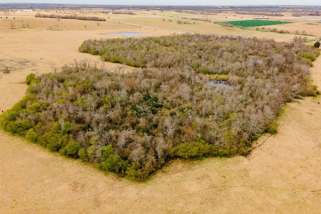 TBD 00000 FM 2726 Road , Washington, TX, 77880 | 47495114 | Realty Texas LLC
