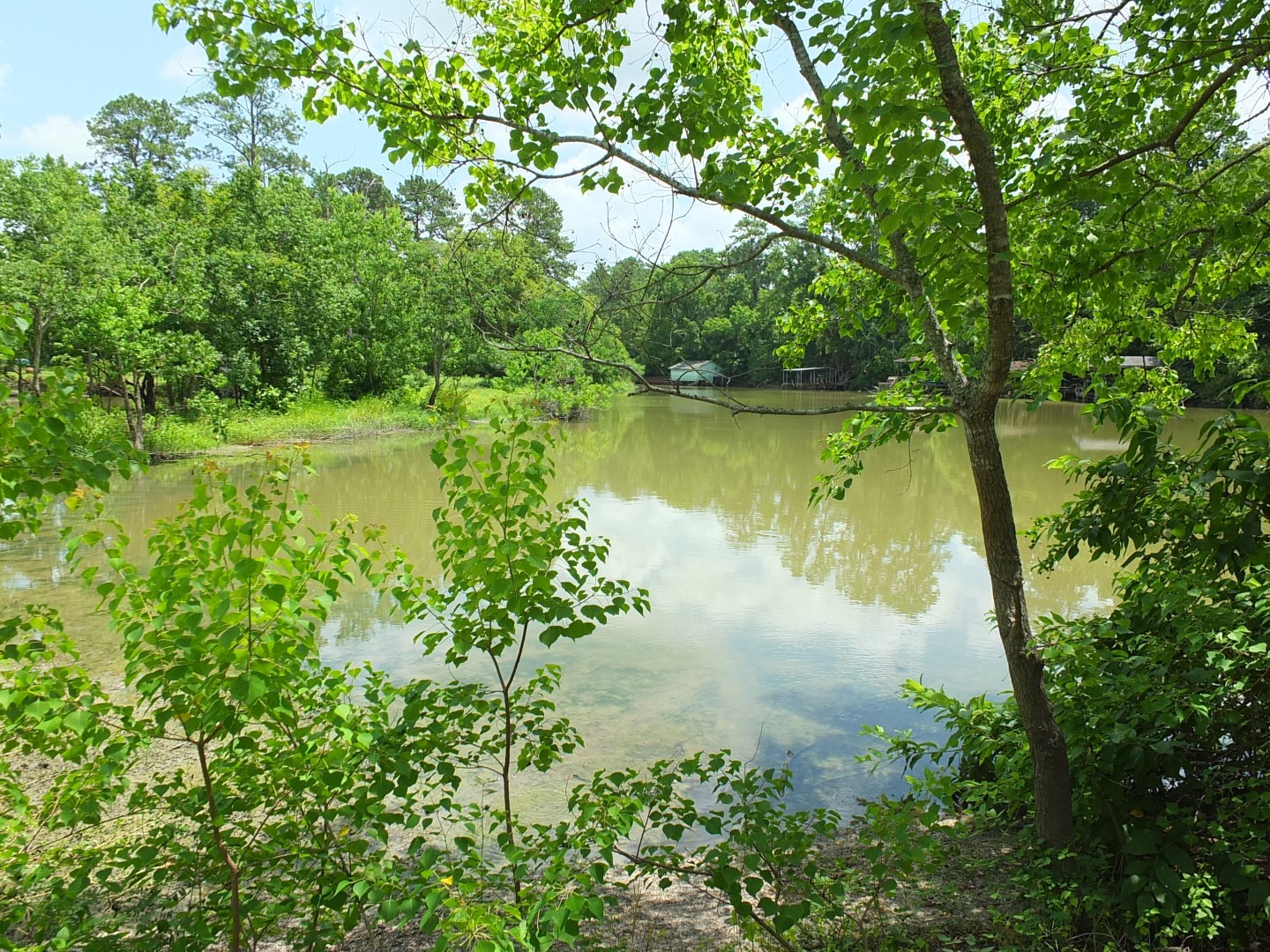 TBD Lakeland Road , Huntsville, TX, 77320 | 17913607 | Realty Texas LLC