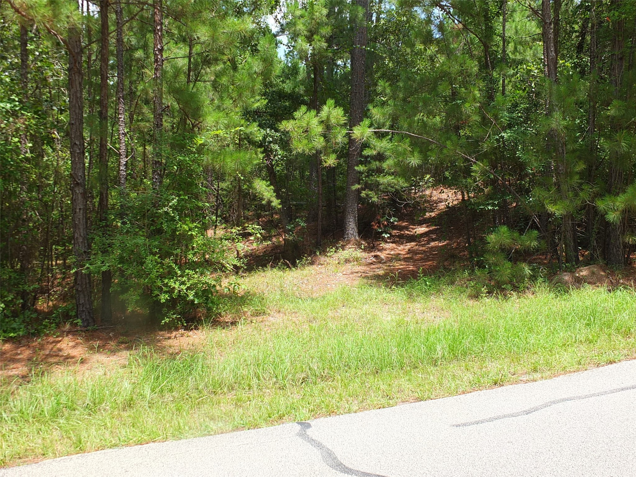TBD Lakeland Road , Huntsville, TX, 77320 | 17913607 | Realty Texas LLC