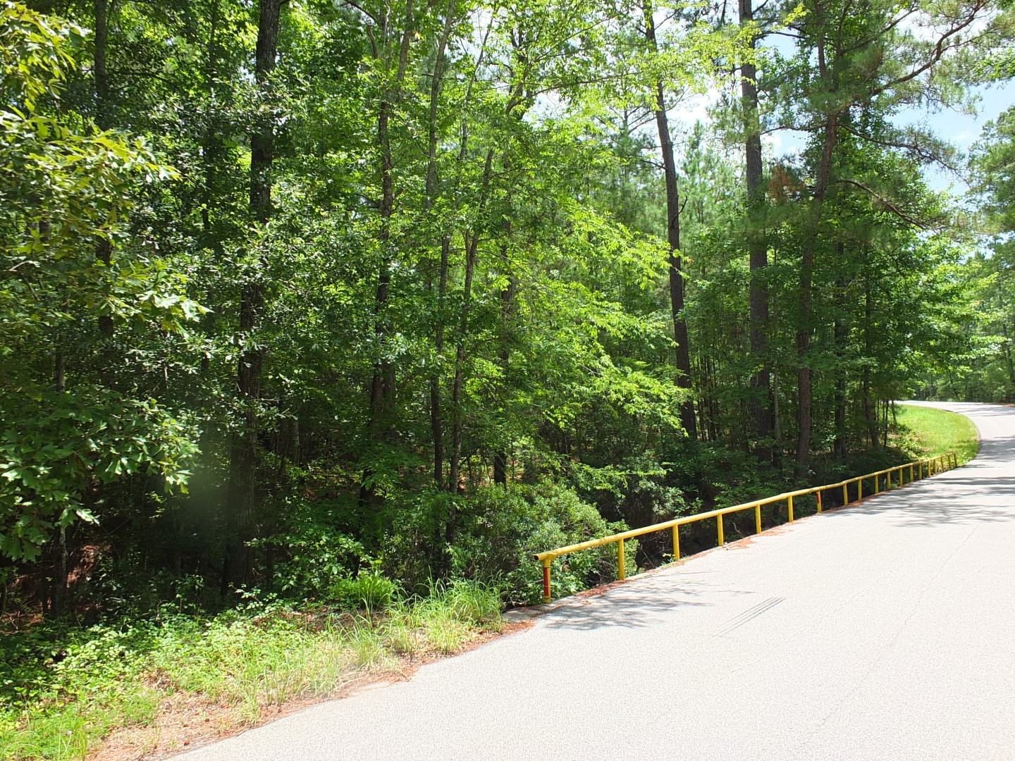 TBD Lakeland Road , Huntsville, TX, 77320 | 17913607 | Realty Texas LLC