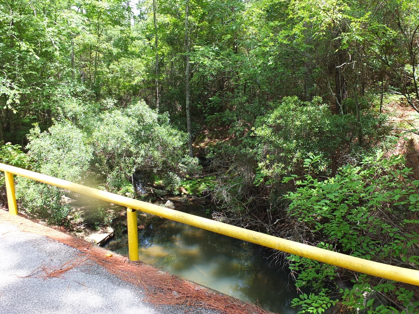 TBD Lakeland Road , Huntsville, TX, 77320 | 17913607 | Realty Texas LLC