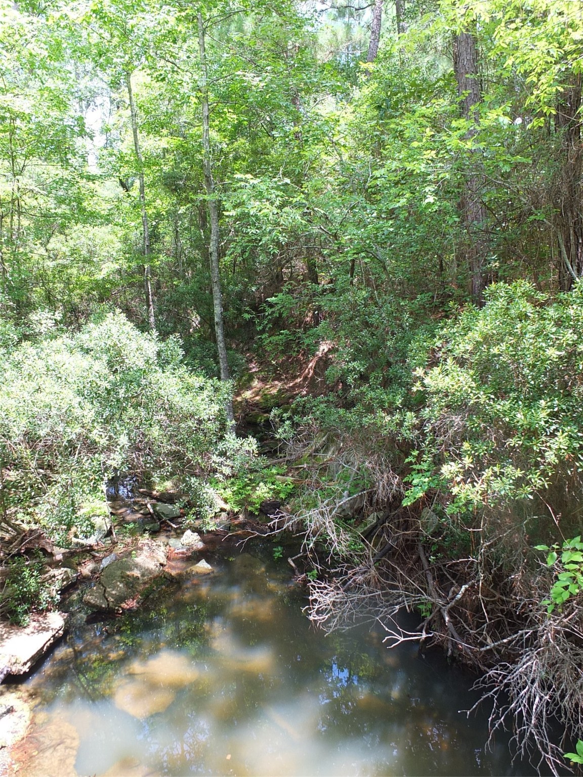 TBD Lakeland Road , Huntsville, TX, 77320 | 17913607 | Realty Texas LLC
