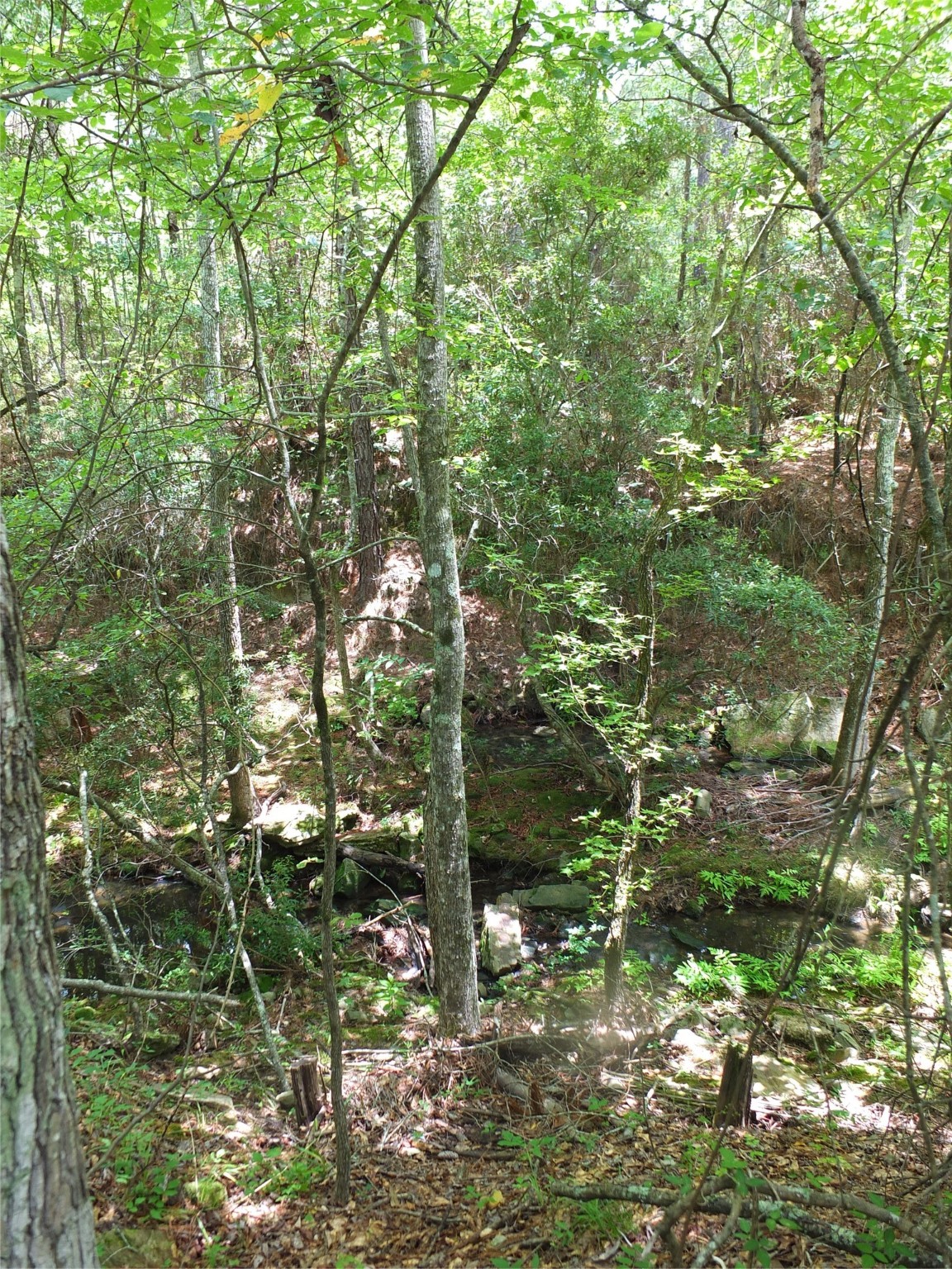 TBD Lakeland Road , Huntsville, TX, 77320 | 17913607 | Realty Texas LLC