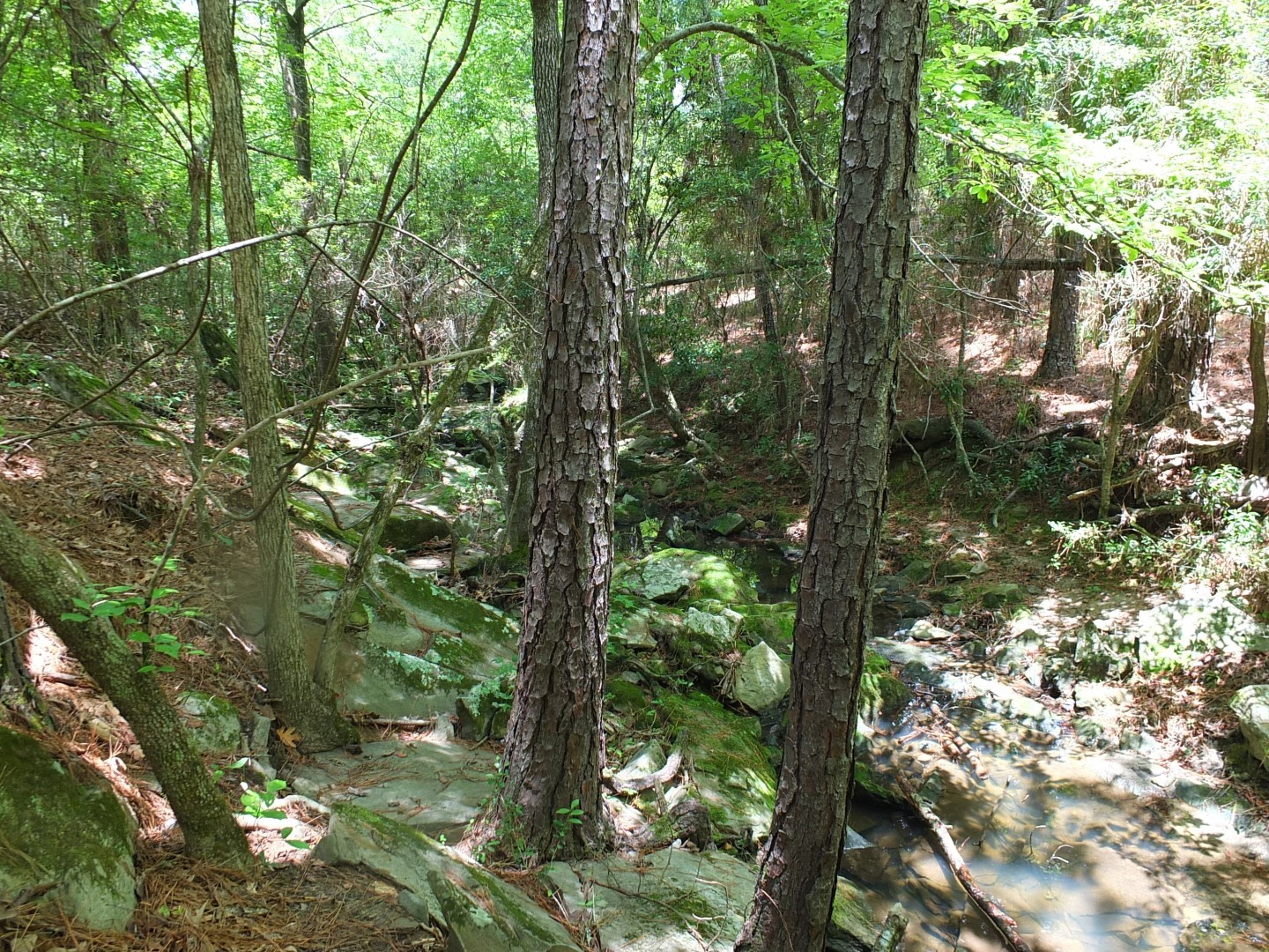 TBD Lakeland Road , Huntsville, TX, 77320 | 17913607 | Realty Texas LLC