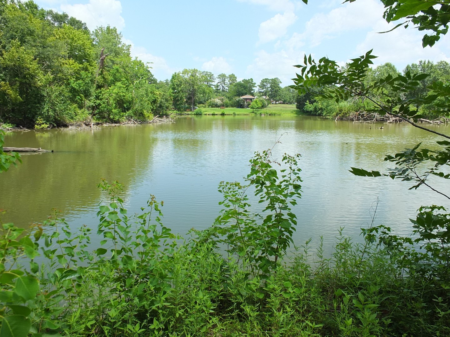 TBD Lakeland Road , Huntsville, TX, 77320 | 17913607 | Realty Texas LLC