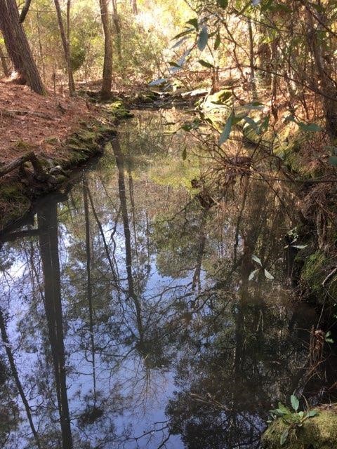 TBD Lakeland Road , Huntsville, TX, 77320 | 17913607 | Realty Texas LLC