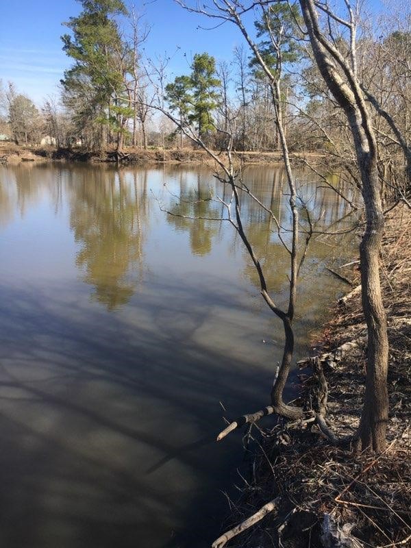 TBD Lakeland Road , Huntsville, TX, 77320 | 17913607 | Realty Texas LLC