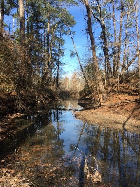 TBD Lakeland Road , Huntsville, TX, 77320 | 17913607 | Realty Texas LLC