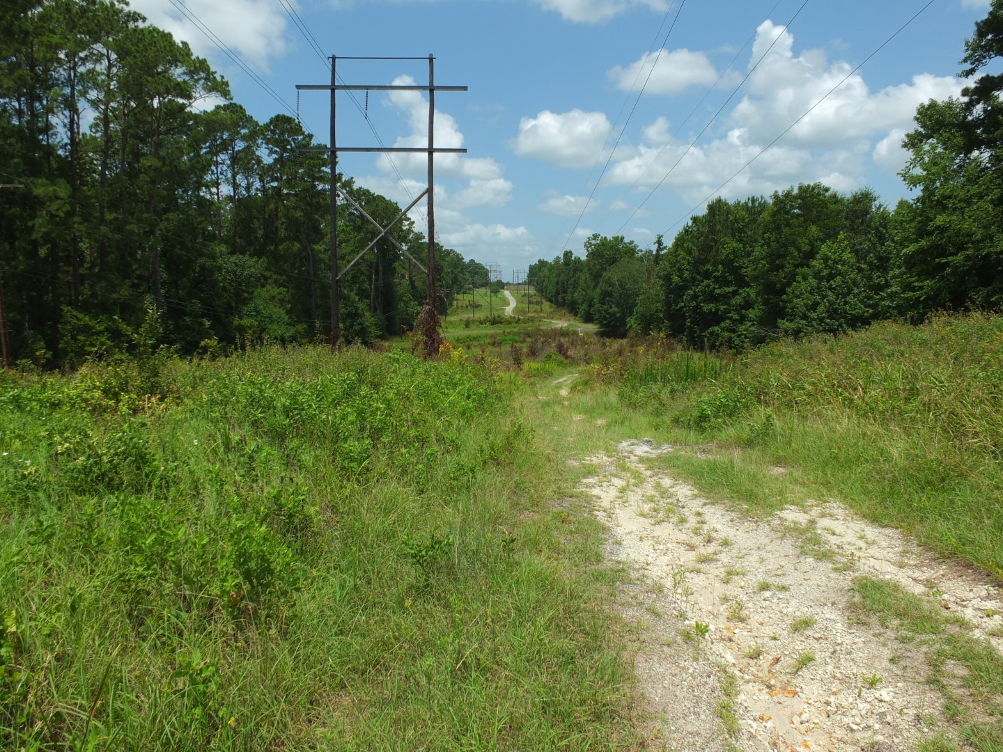 TBD Lakeland Road , Huntsville, TX, 77320 | 17913607 | Realty Texas LLC