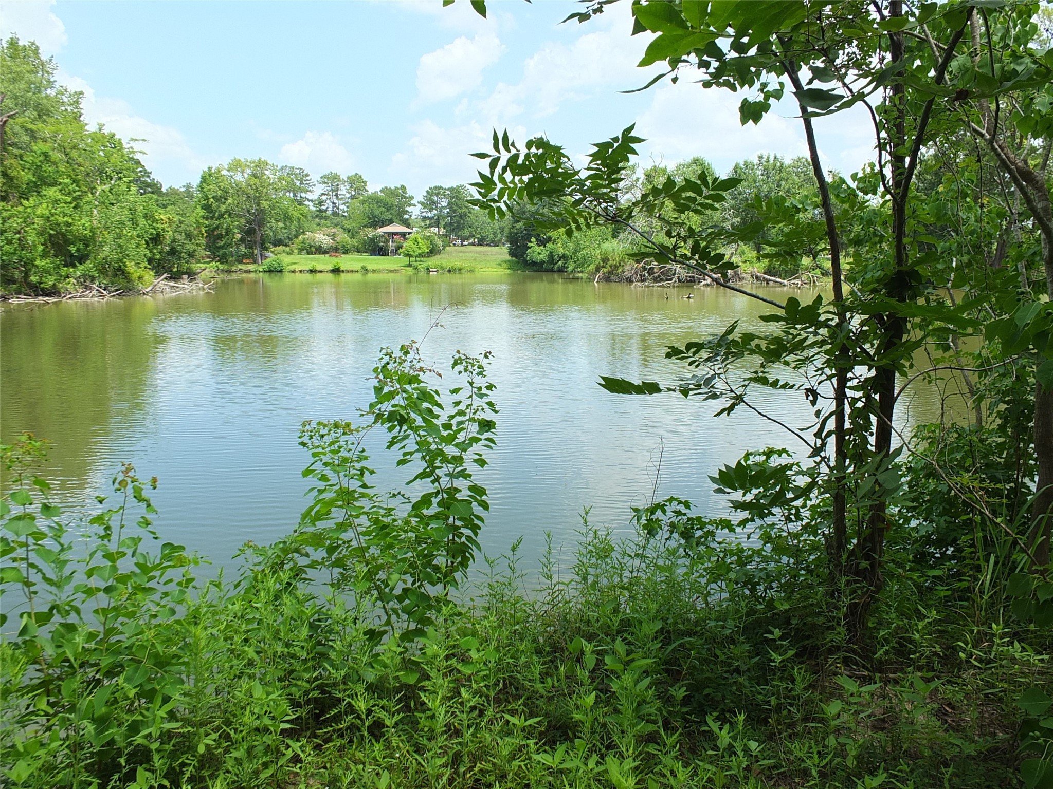 TBD Lakeland Road , Huntsville, TX, 77320 | 17913607 | Realty Texas LLC
