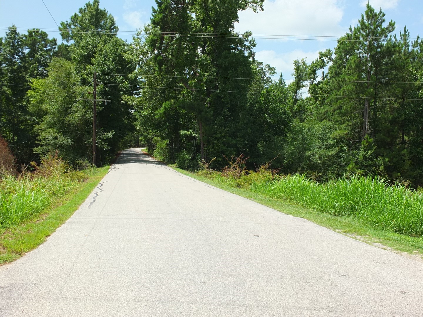 TBD Lakeland Road , Huntsville, TX, 77320 | 17913607 | Realty Texas LLC