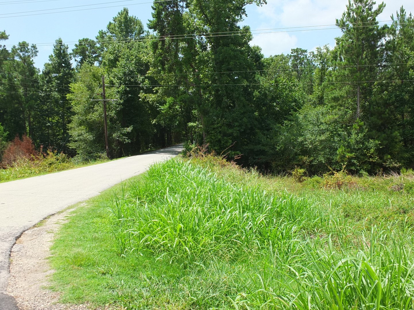 TBD Lakeland Road , Huntsville, TX, 77320 | 17913607 | Realty Texas LLC