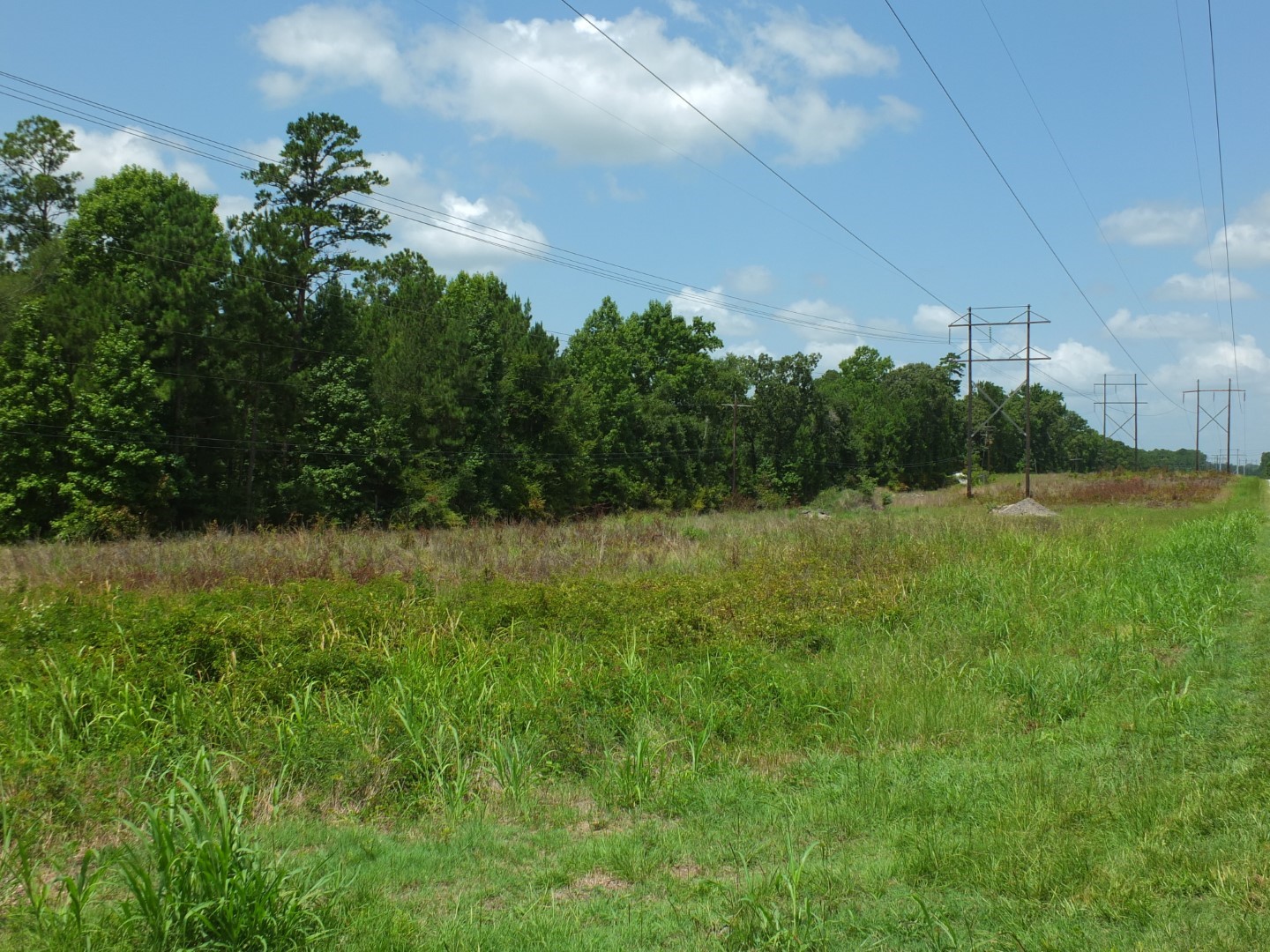 TBD Lakeland Road , Huntsville, TX, 77320 | 17913607 | Realty Texas LLC