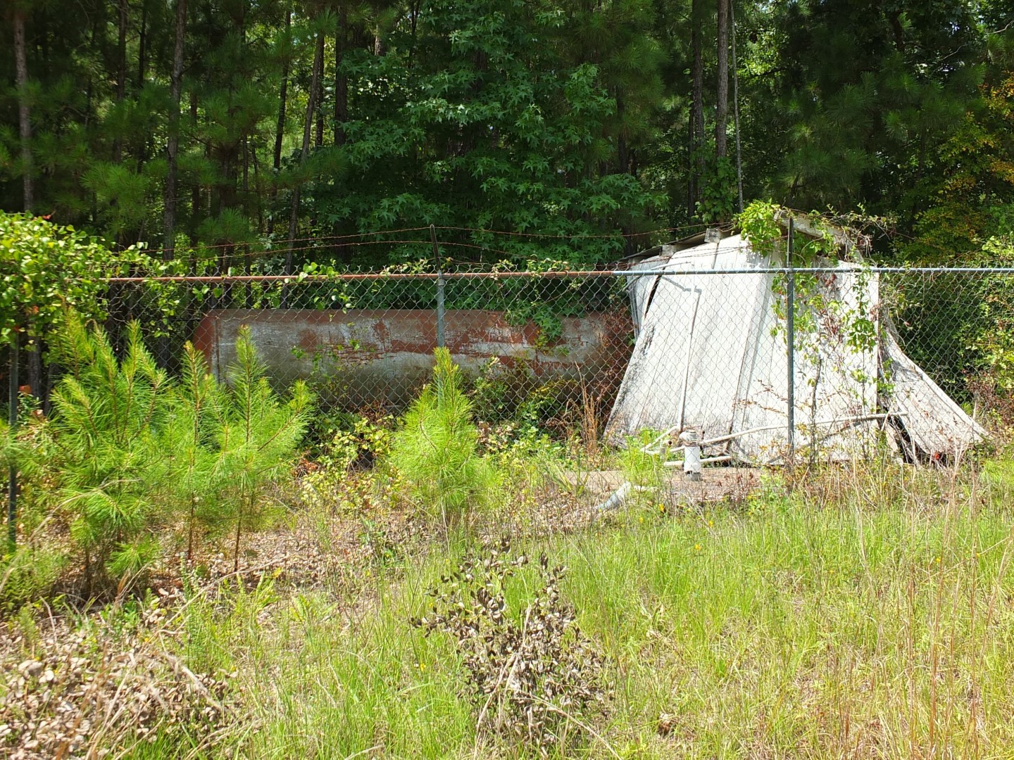 TBD Lakeland Road , Huntsville, TX, 77320 | 17913607 | Realty Texas LLC
