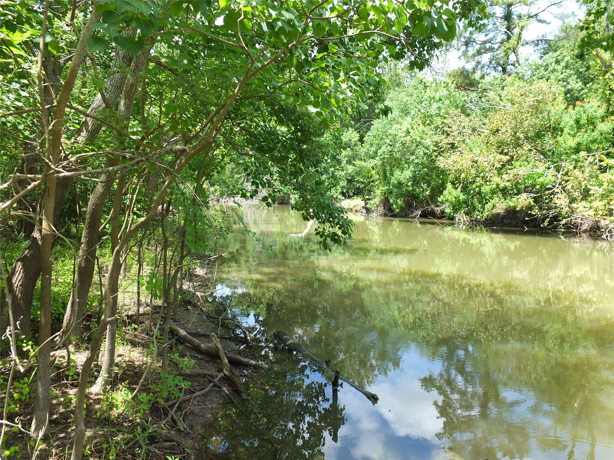 TBD Lakeland Road , Huntsville, TX, 77320 | 17913607 | Realty Texas LLC