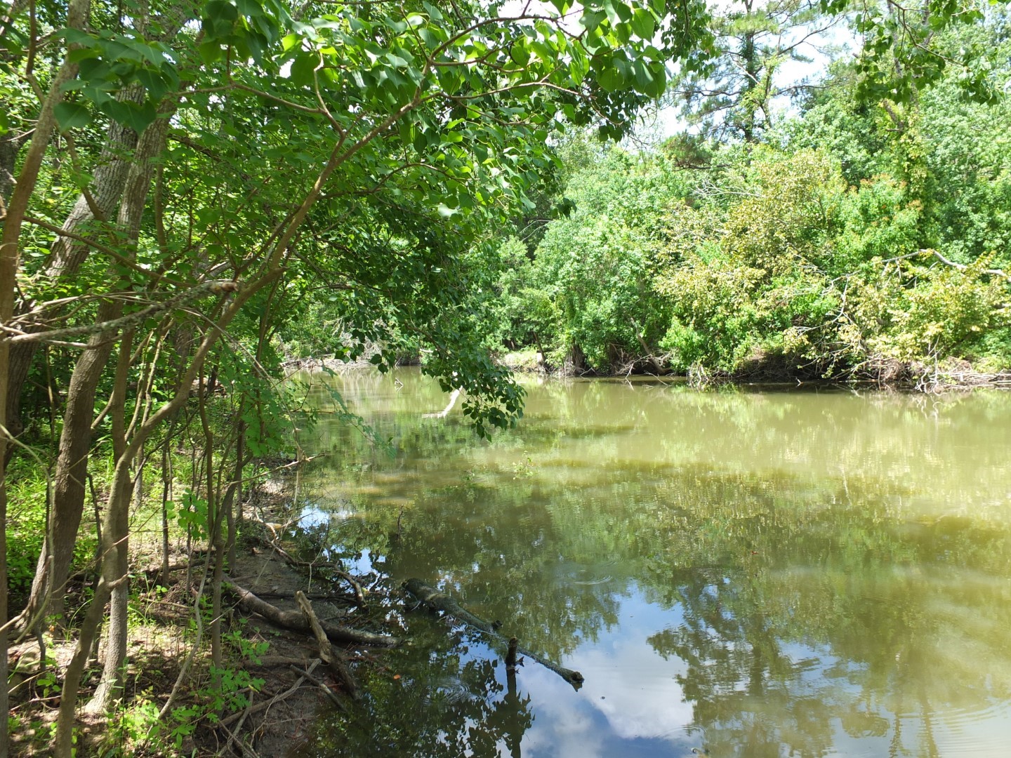 TBD Lakeland Road , Huntsville, TX, 77320 | 17913607 | Realty Texas LLC