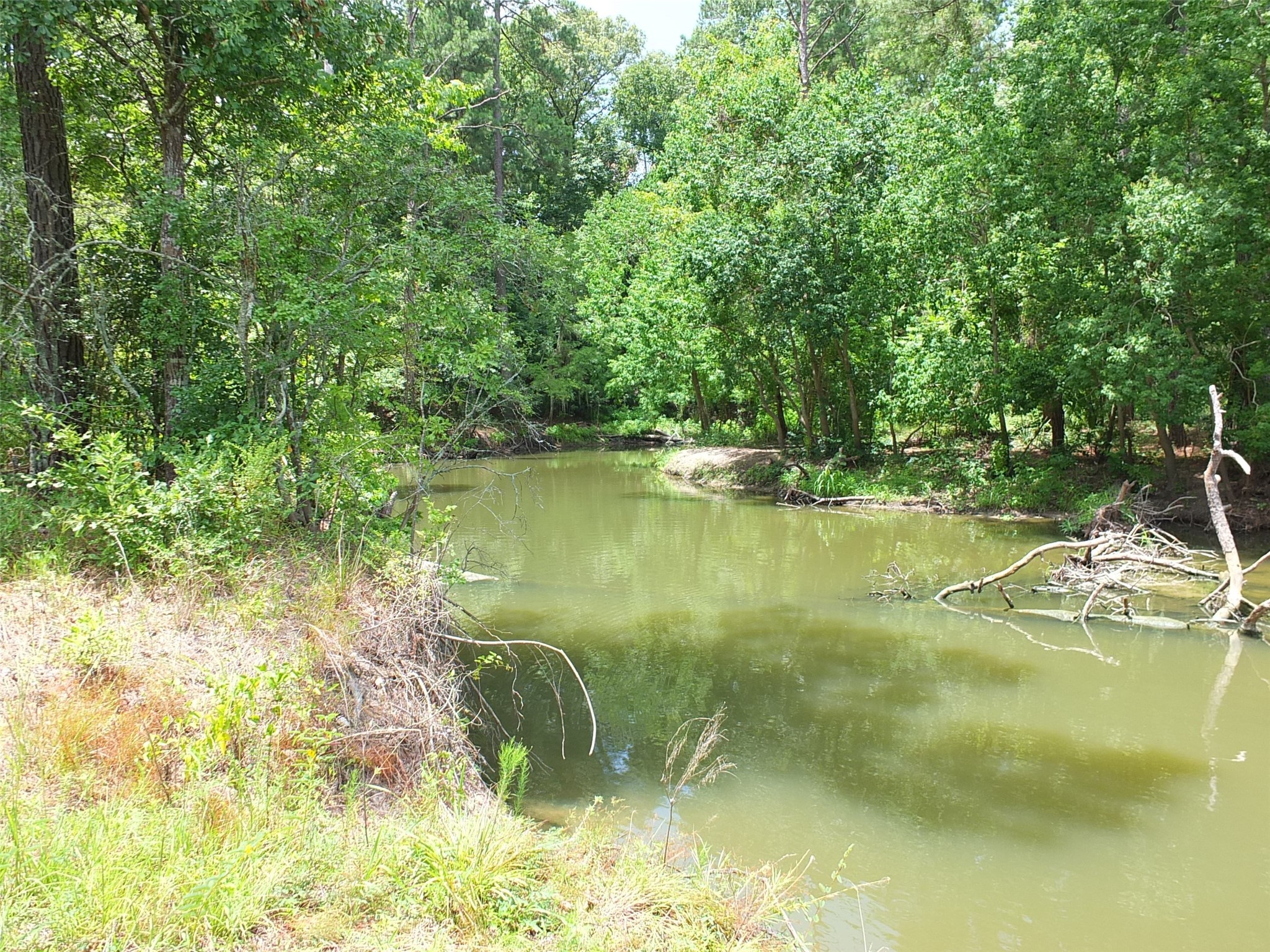 TBD Lakeland Road , Huntsville, TX, 77320 | 17913607 | Realty Texas LLC