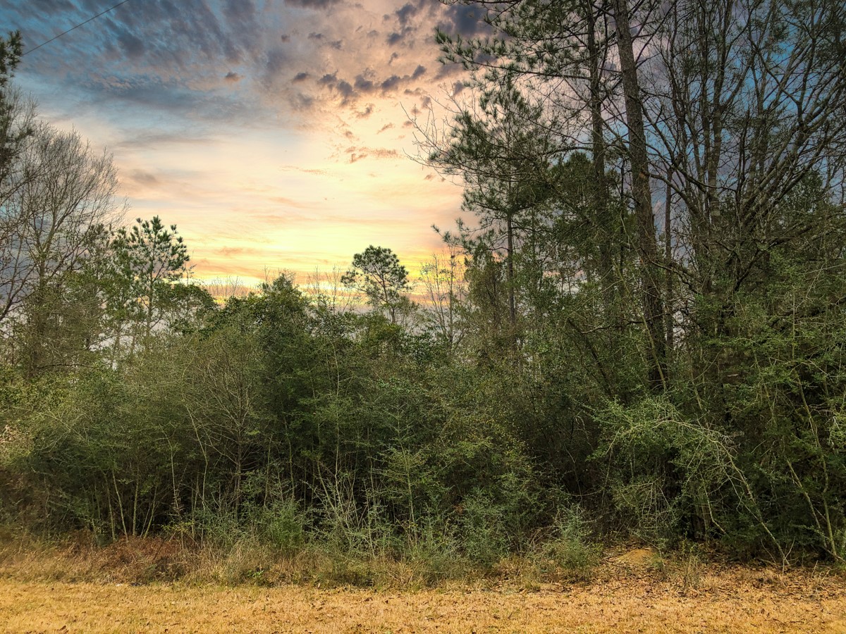 0 Old Spurger Hwy , Silsbee, TX, 77656 | 85553837 | Realty Texas LLC