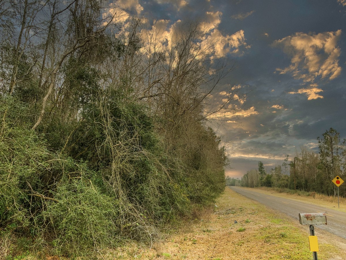 0 Old Spurger Hwy , Silsbee, TX, 77656 | 85553837 | Realty Texas LLC