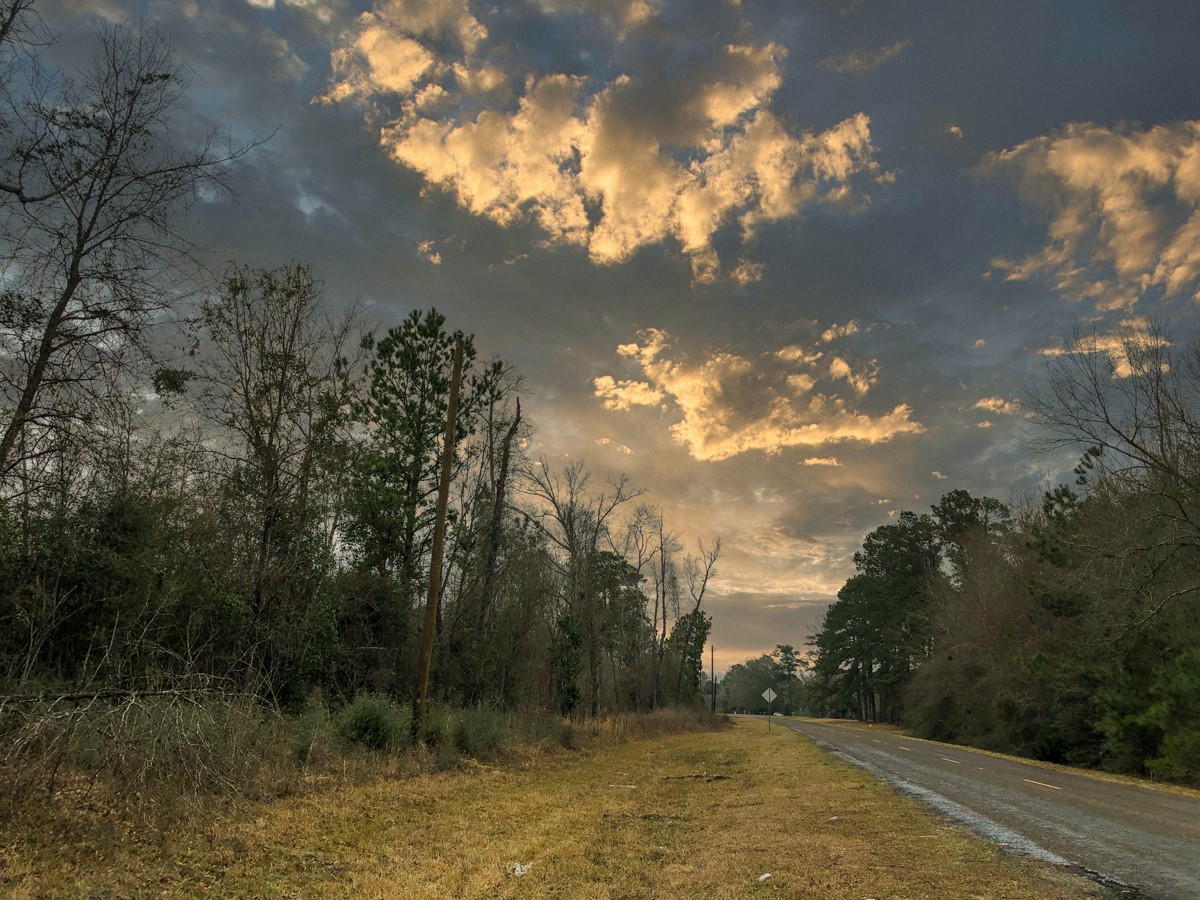 00 Old Spurger Hwy , Silsbee, TX, 77656 | 94301037 | Realty Texas LLC