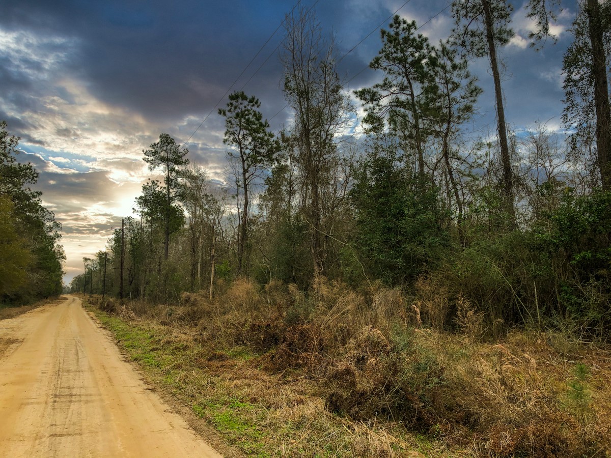 00 Old Spurger Hwy , Silsbee, TX, 77656 | 94301037 | Realty Texas LLC