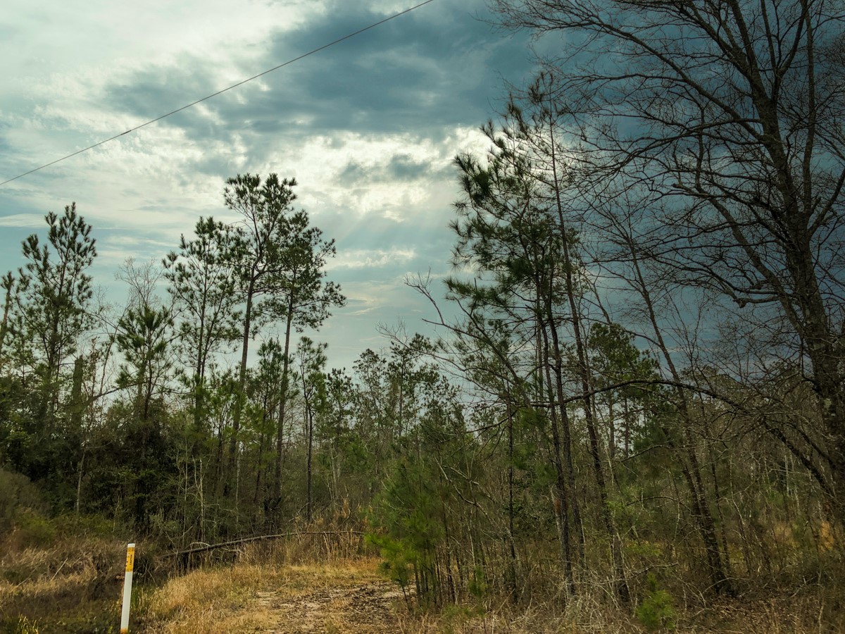 00 Old Spurger Hwy , Silsbee, TX, 77656 | 94301037 | Realty Texas LLC
