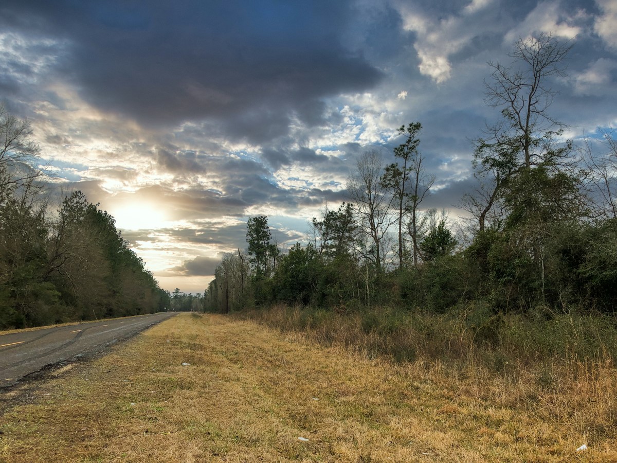 00 Old Spurger Hwy , Silsbee, TX, 77656 | 94301037 | Realty Texas LLC
