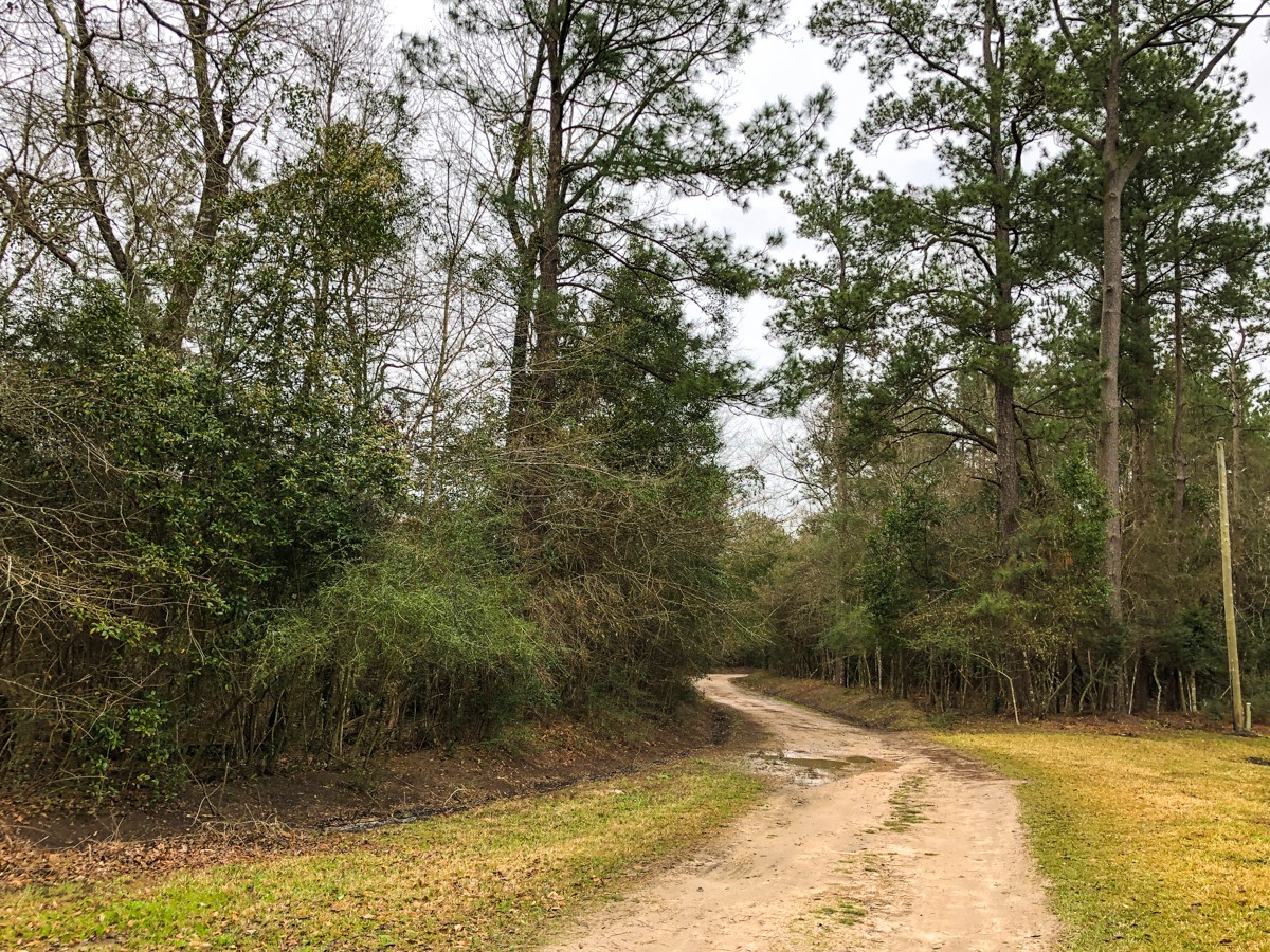 00 Old Spurger Hwy , Silsbee, TX, 77656 | 94301037 | Realty Texas LLC