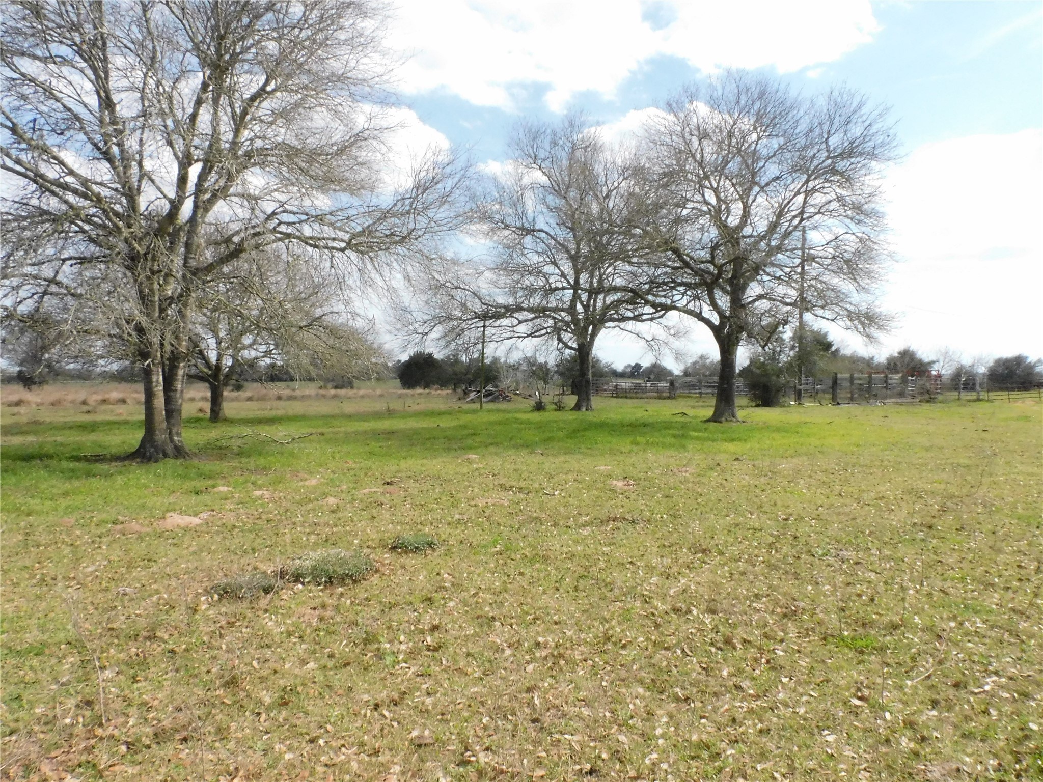 6495 Fm 1094 , Sealy, TX, 77474 | 33346594 | Realty Texas LLC