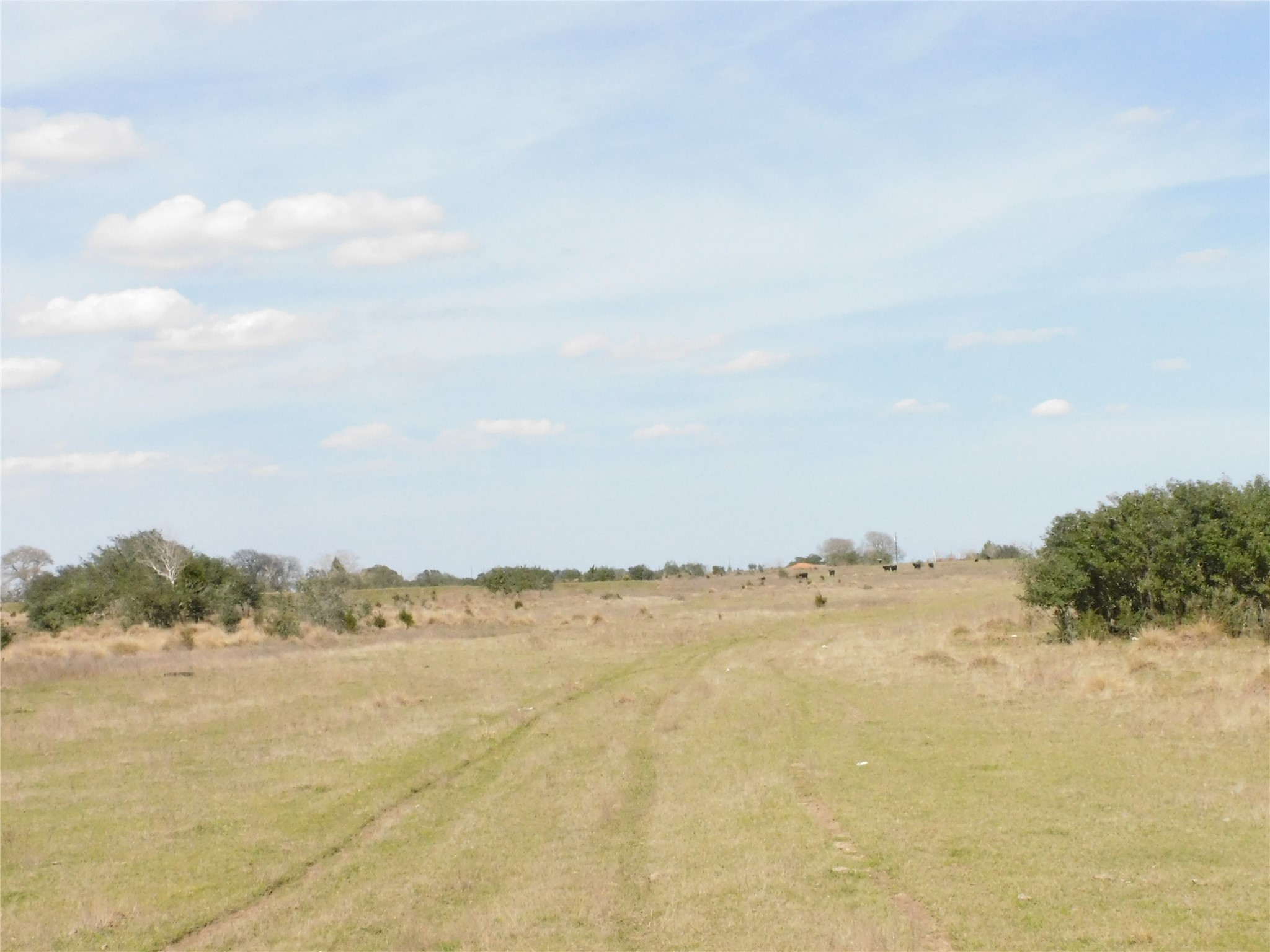 6495 Fm 1094 , Sealy, TX, 77474 | 33346594 | Realty Texas LLC