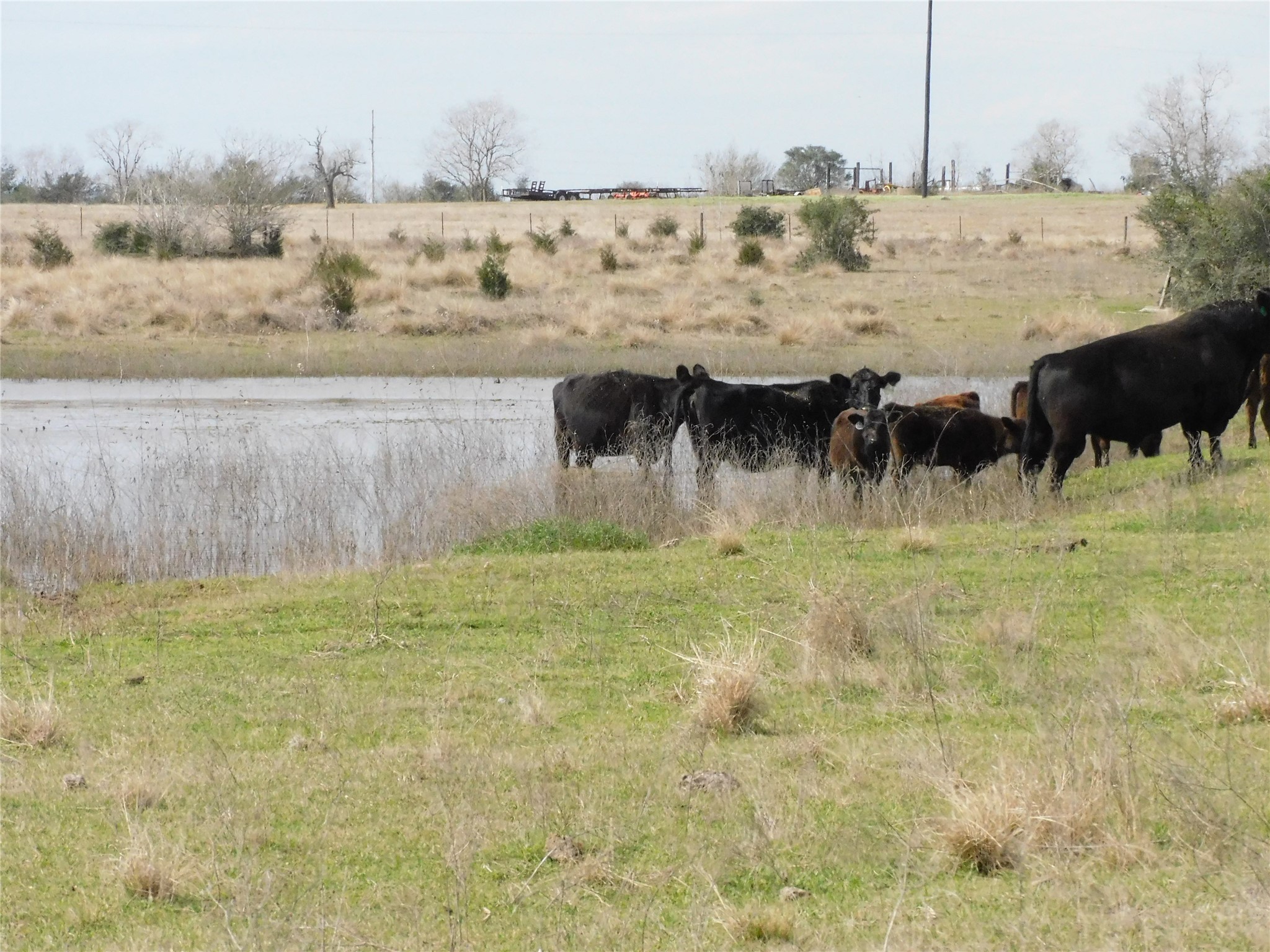 6495 Fm 1094 , Sealy, TX, 77474 | 33346594 | Realty Texas LLC