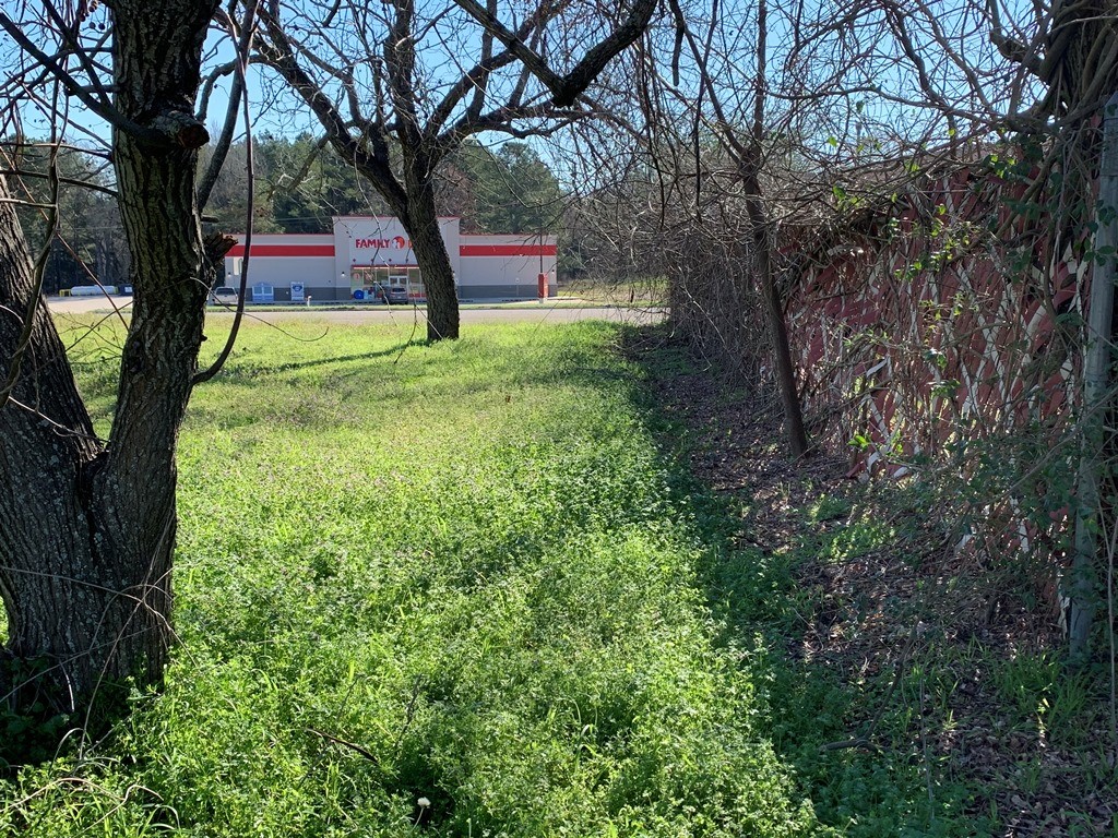 2601 State Highway 155 , Palestine, TX, 75803 | 33117975 | Realty Texas LLC