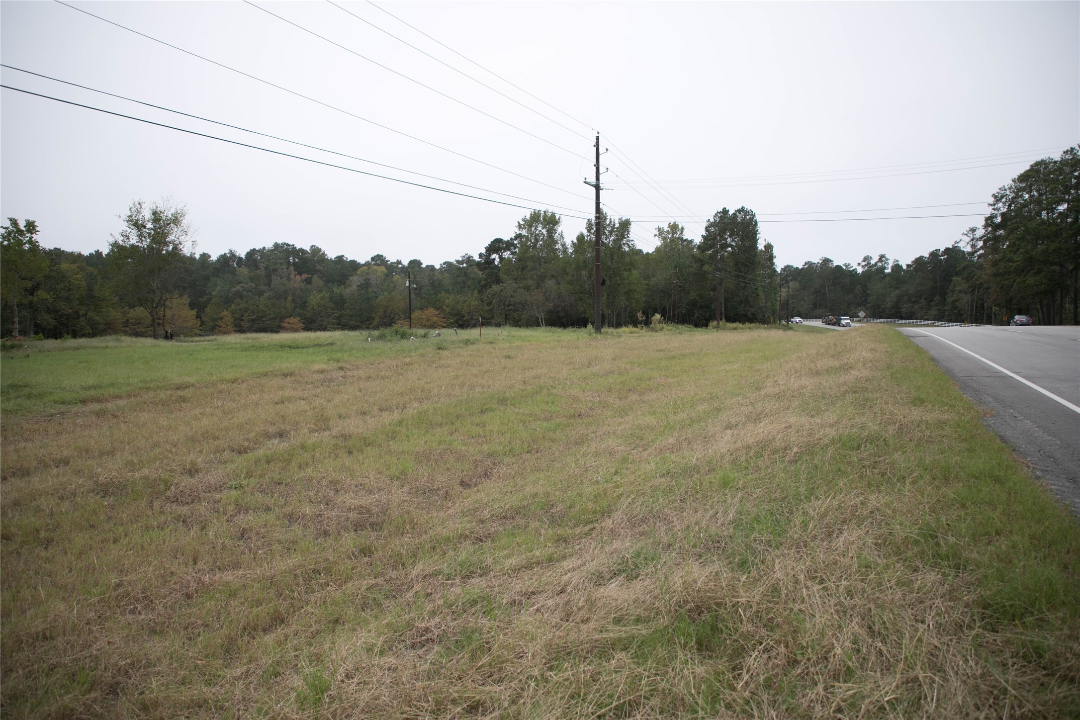 1331 McCaleb Road , Montgomery, TX, 77316 | 59618904 | Realty Texas LLC