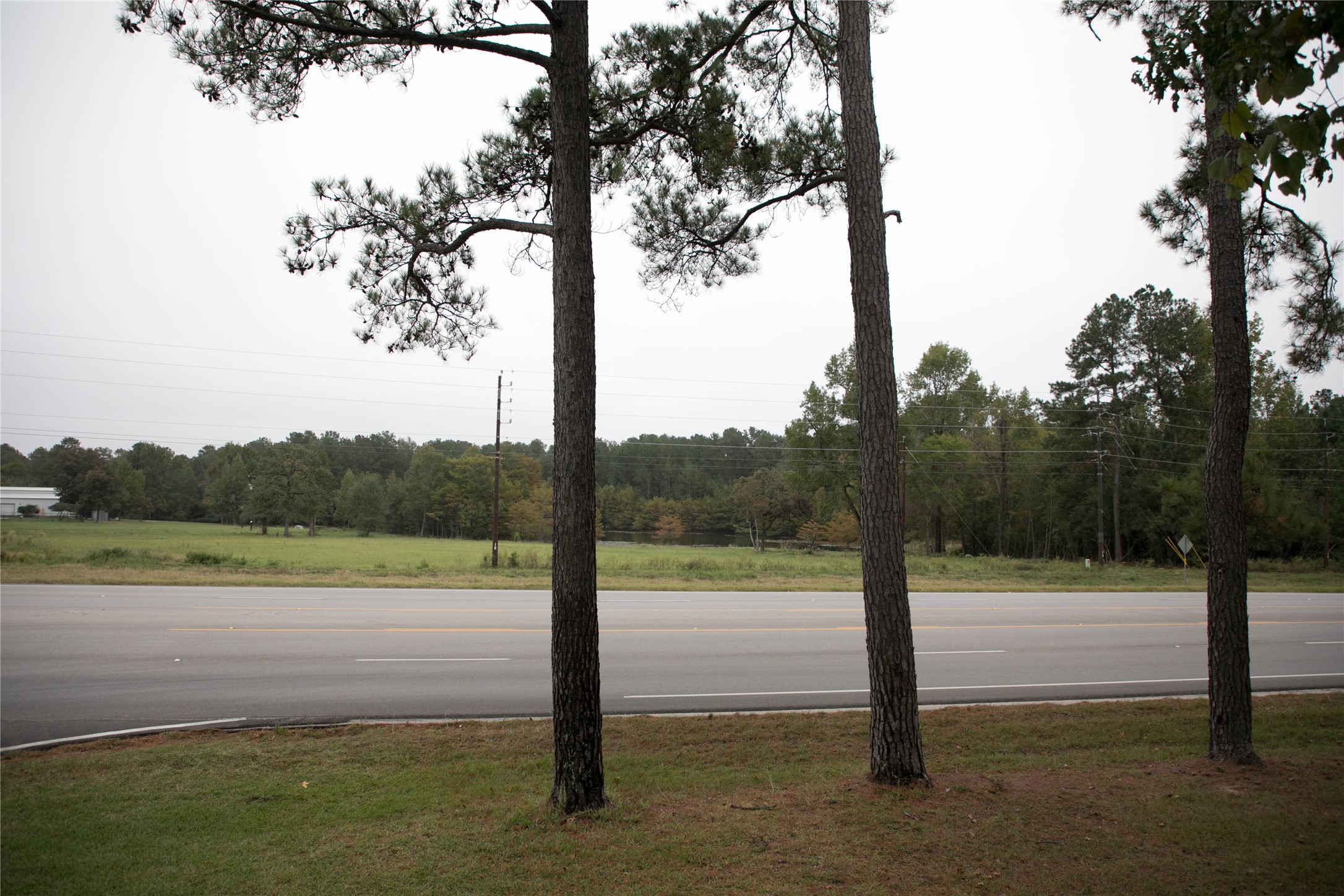 1331 McCaleb Road , Montgomery, TX, 77316 | 59618904 | Realty Texas LLC
