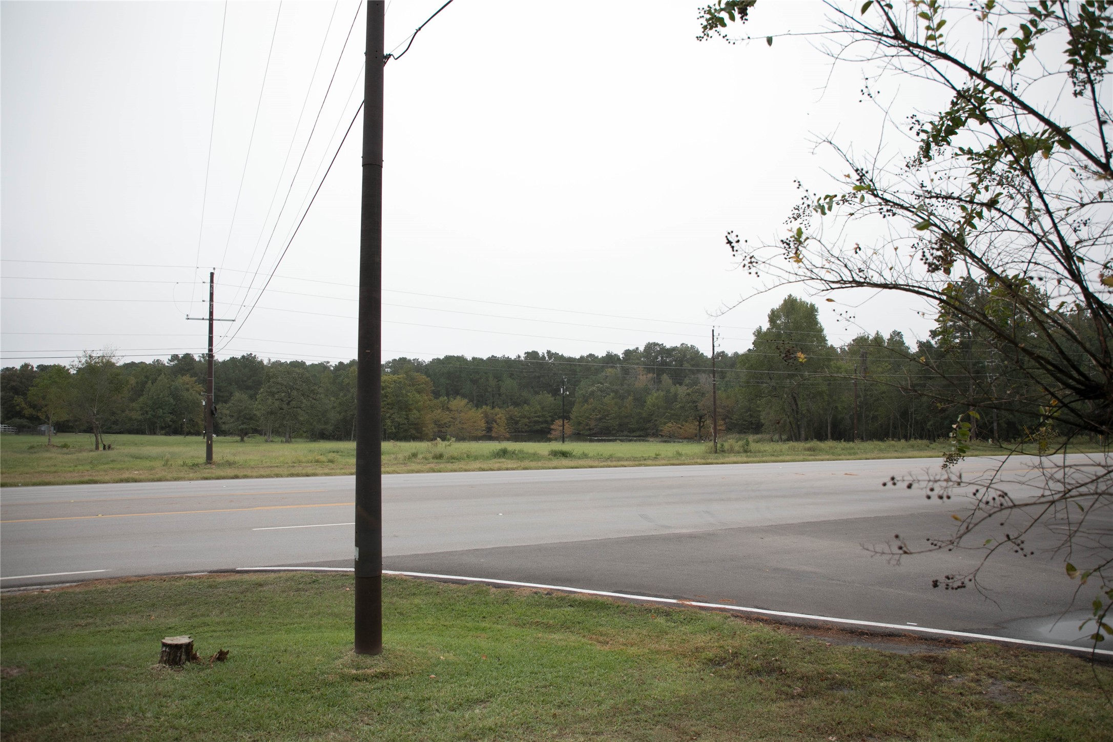 1331 McCaleb Road , Montgomery, TX, 77316 | 59618904 | Realty Texas LLC