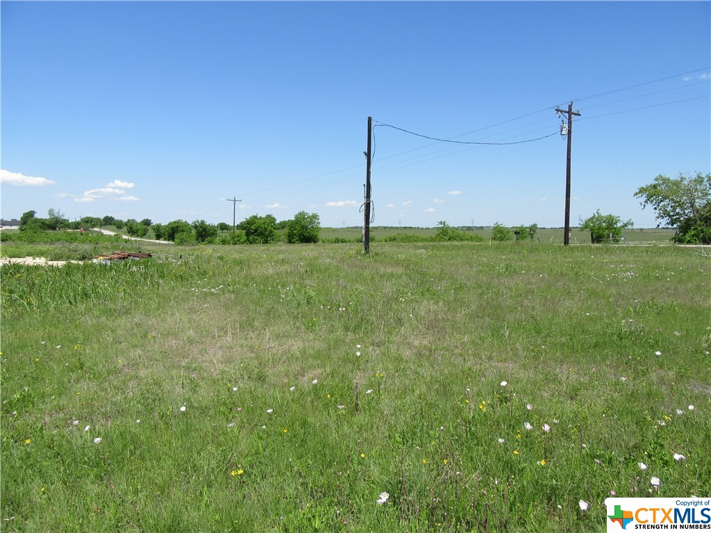 TBD Wedel Cemetery Road , Rogers, TX, 76569 | 437306 | Realty Texas LLC